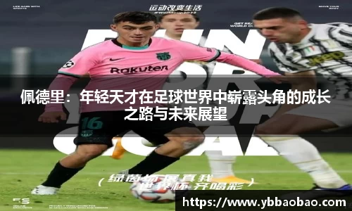 星空体育网站入口